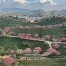 龙岩旅游 缩略图 1