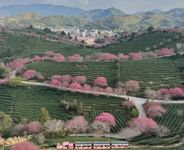 龙岩旅游 1