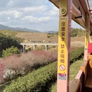 龙岩旅游 缩略图 11