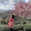 龙岩旅游 缩略图 2