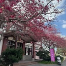 龙岩旅游 缩略图 5