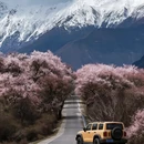 林芝旅游 缩略图 1