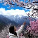 林芝旅游 缩略图 1