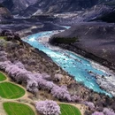 林芝旅游 缩略图 8