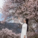 林芝旅游 缩略图 6
