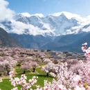 林芝旅游 缩略图 2