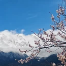 林芝旅游 缩略图 4