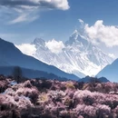 林芝旅游 缩略图 3