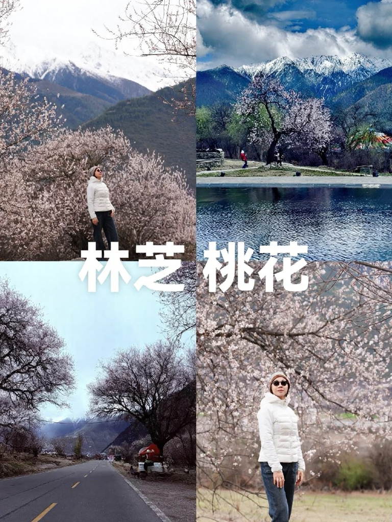 林芝旅游
