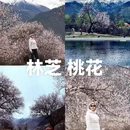林芝旅游 缩略图 1