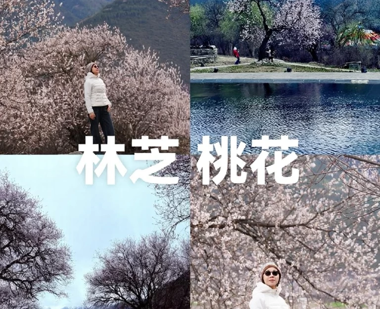 林芝旅游 1