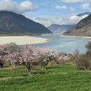 林芝旅游 缩略图 2