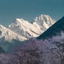 林芝旅游 缩略图 6