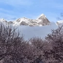 林芝旅游 缩略图 6