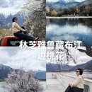 林芝旅游 缩略图 2