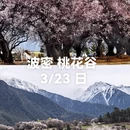 林芝旅游 缩略图 6