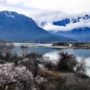 林芝旅游 缩略图 11