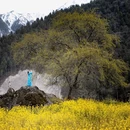 林芝旅游 缩略图 3