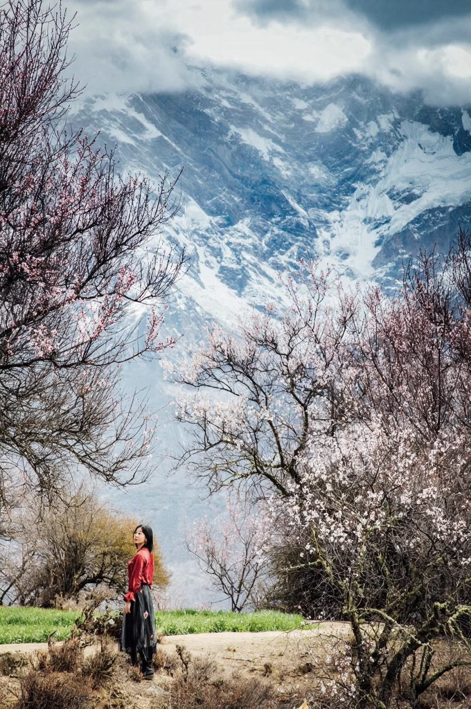 林芝旅游