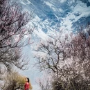 林芝旅游 缩略图 1