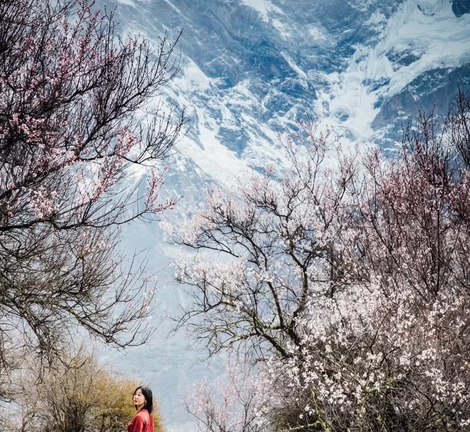 林芝旅游 1