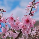 金华旅游 缩略图 2