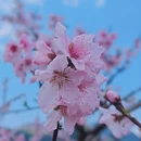 金华旅游 缩略图 4