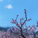 金华旅游 缩略图 5