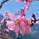 金华旅游 缩略图 3