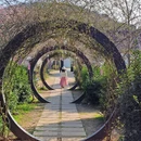 苏州旅游 缩略图 14