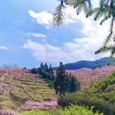 金华旅游 缩略图 13