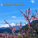 金华旅游 缩略图 11