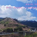 金华旅游 缩略图 12