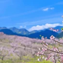 金华旅游 缩略图 9