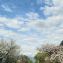 林芝旅游 缩略图 2