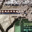 林芝旅游 缩略图 4