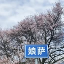 林芝旅游 缩略图 11