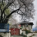 林芝旅游 缩略图 10