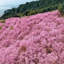 龙岩旅游 缩略图 1