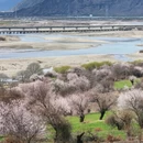 林芝旅游 缩略图 7