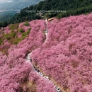 龙岩旅游 缩略图 2