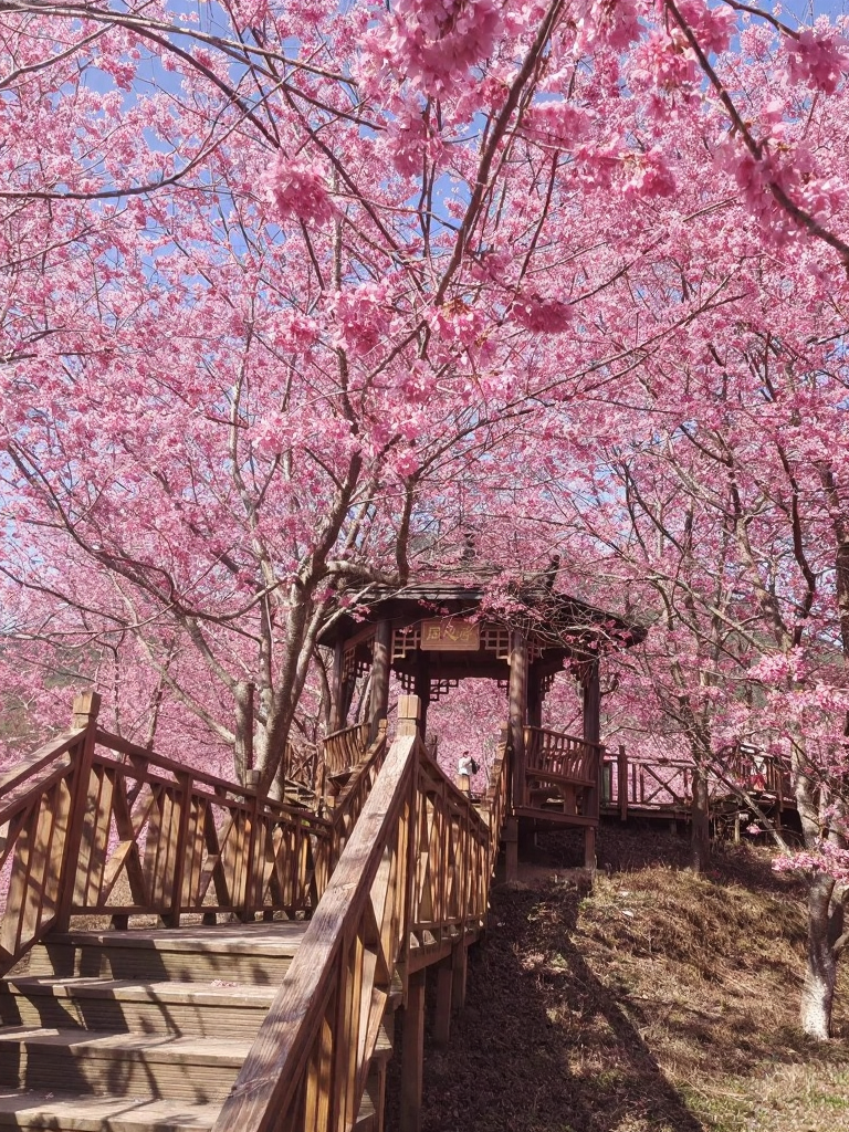 三明旅游