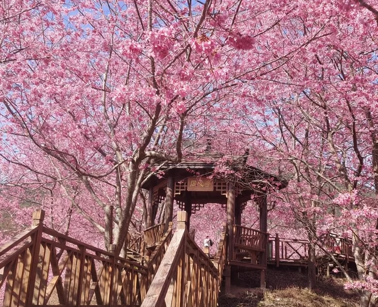 三明旅游 1