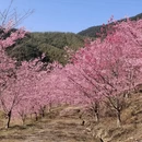 三明旅游 缩略图 8