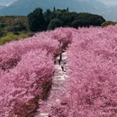 龙岩旅游 缩略图 4