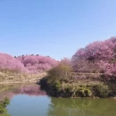 三明旅游 缩略图 9