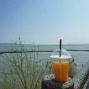 苏州旅游 缩略图 4