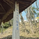 苏州旅游 缩略图 5
