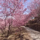 三明旅游 缩略图 7