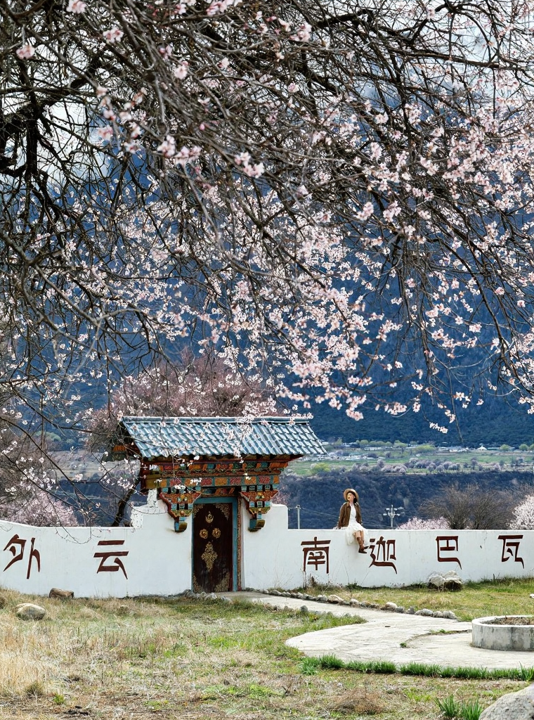林芝旅游